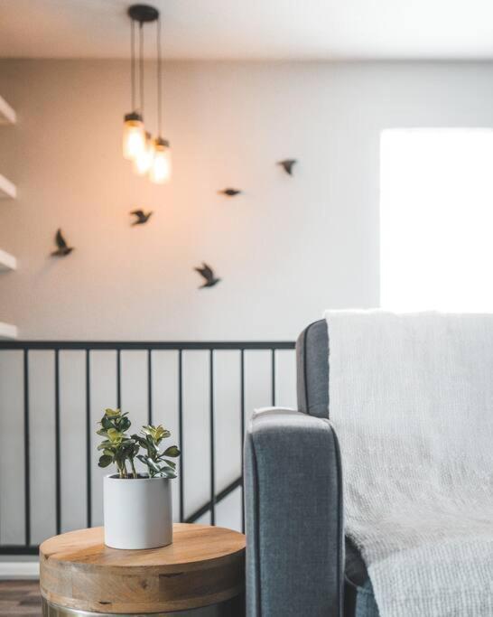 Porchlight Home Central San Diego Free Parking Bagian luar foto